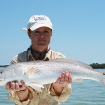 Florida Keys Redfish